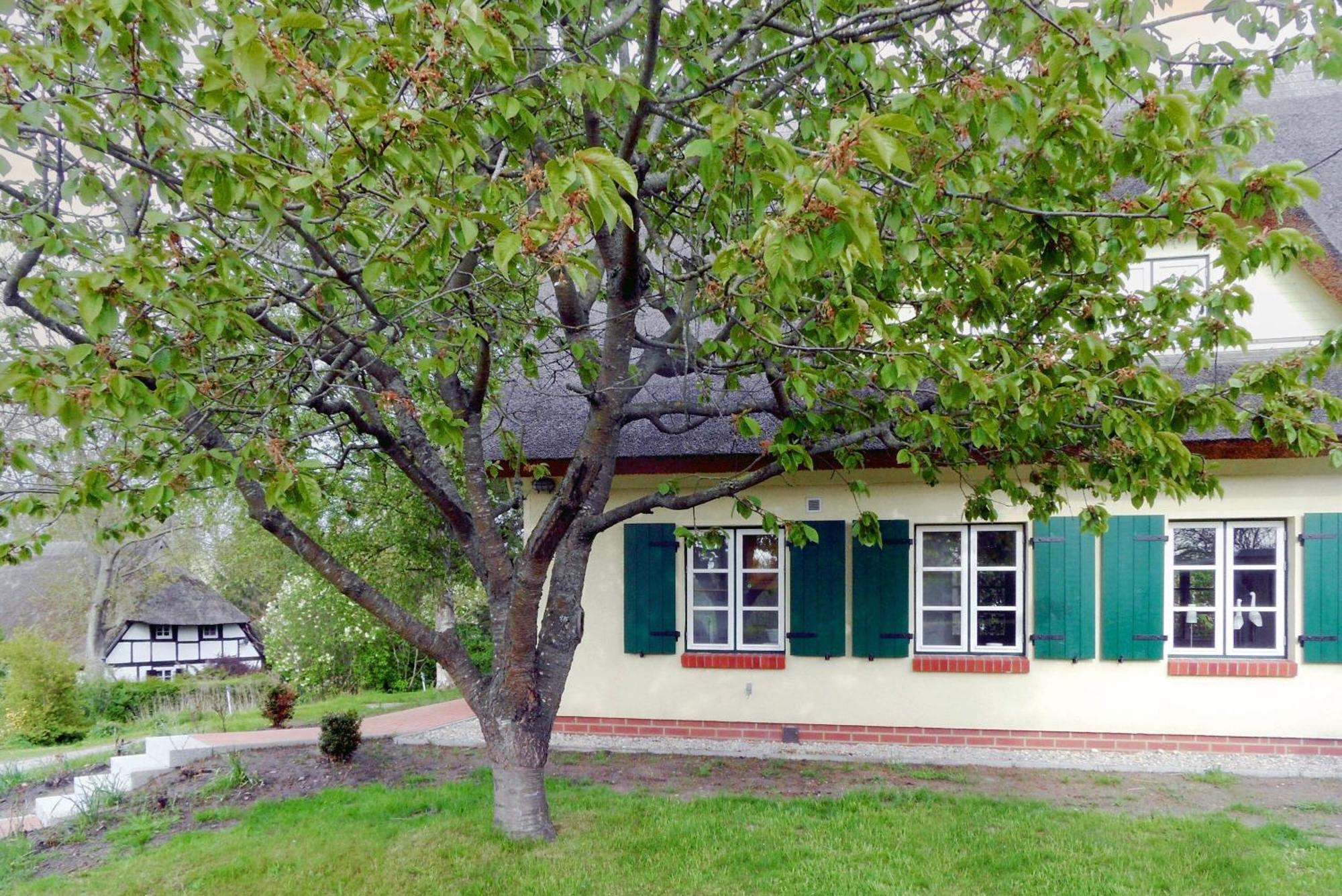 Ferienhaus Preetz 1A - Idylle Unter Reet Burtevitz Exterior photo