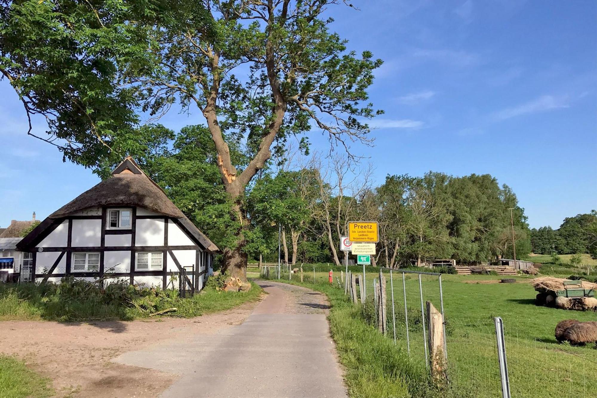 Ferienhaus Preetz 1A - Idylle Unter Reet Burtevitz Exterior photo